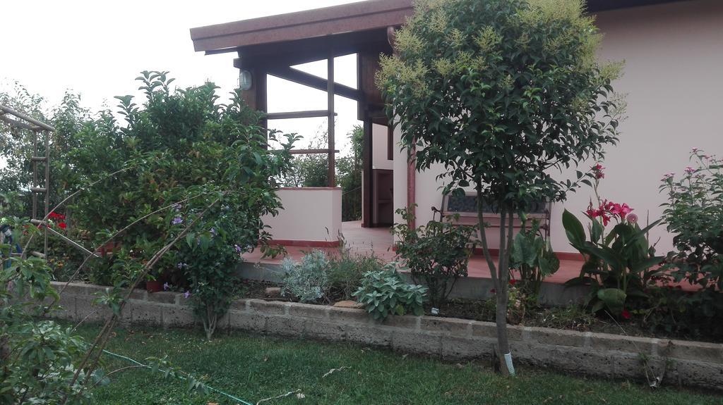 Agriturismo Collelungo Di Maremma Diaccialone Zewnętrze zdjęcie