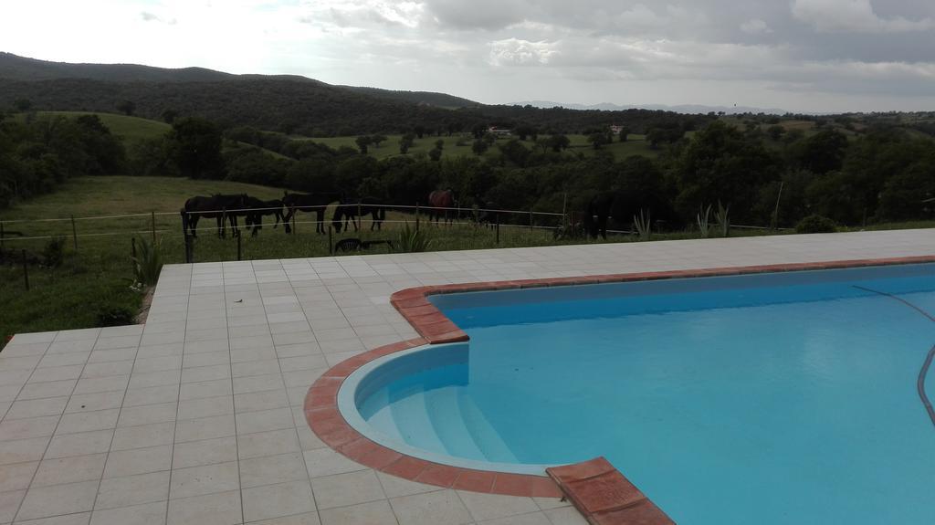 Agriturismo Collelungo Di Maremma Diaccialone Zewnętrze zdjęcie