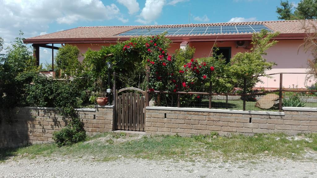 Agriturismo Collelungo Di Maremma Diaccialone Zewnętrze zdjęcie