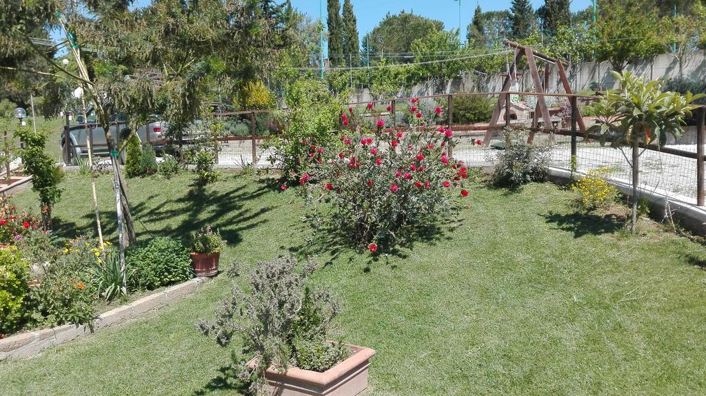 Agriturismo Collelungo Di Maremma Diaccialone Zewnętrze zdjęcie