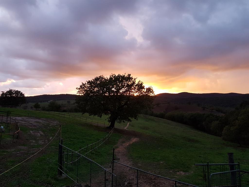 Agriturismo Collelungo Di Maremma Diaccialone Zewnętrze zdjęcie