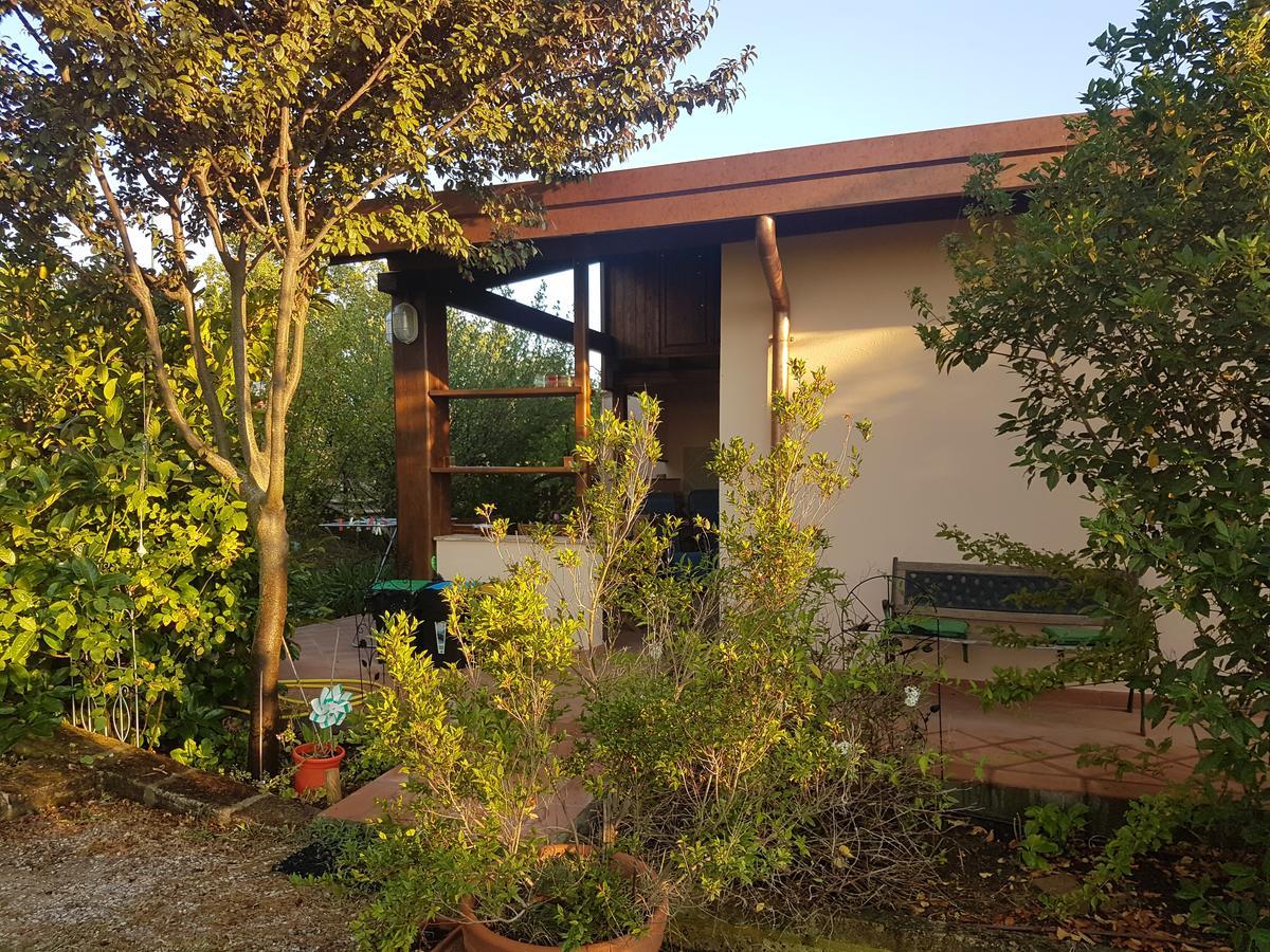 Agriturismo Collelungo Di Maremma Diaccialone Zewnętrze zdjęcie