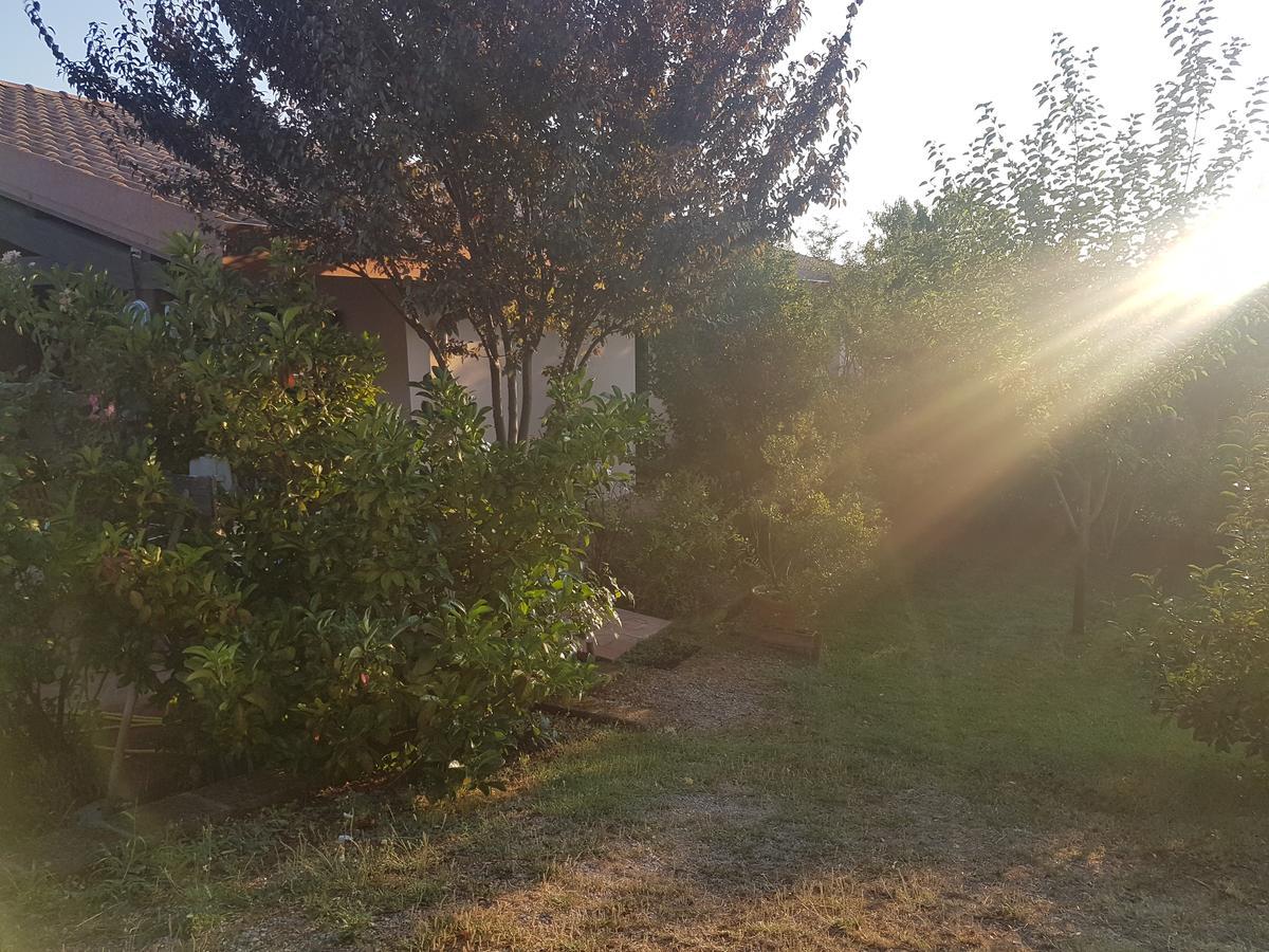 Agriturismo Collelungo Di Maremma Diaccialone Zewnętrze zdjęcie